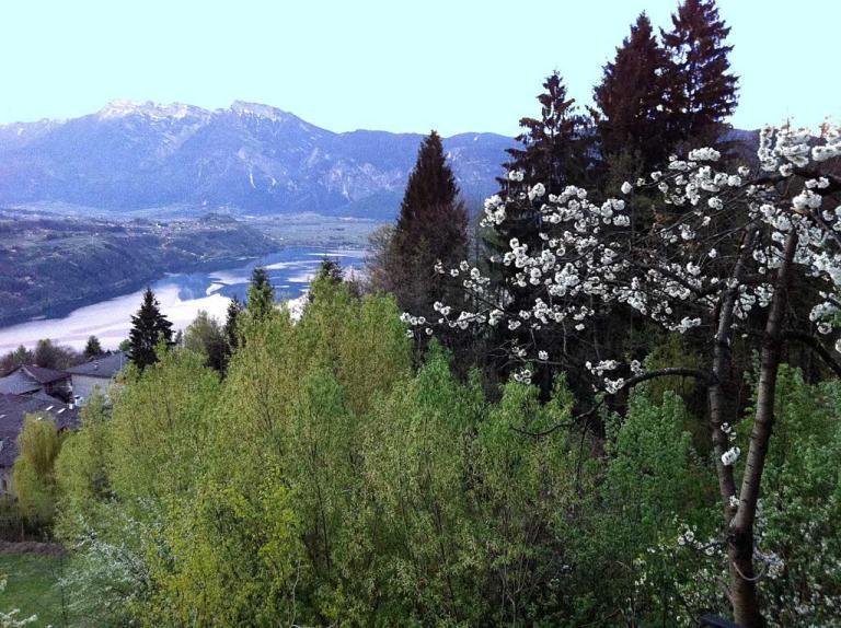 B&B Alba Sul Lago Перджине Валсугана Екстериор снимка